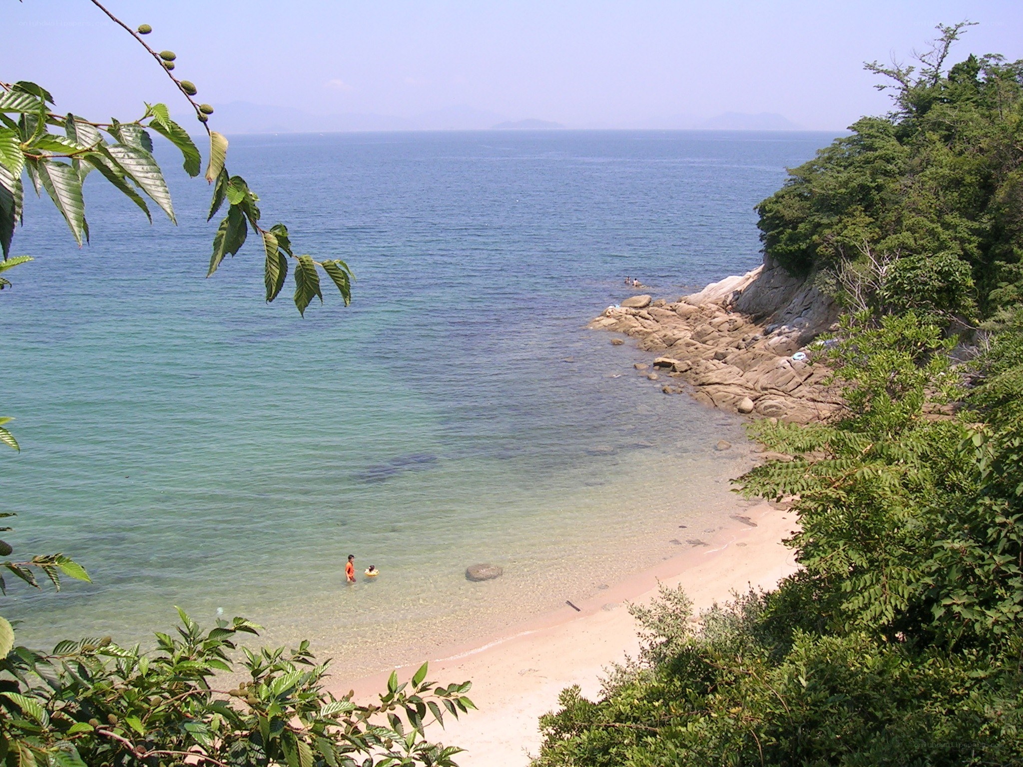 Beach with clear water and green trees