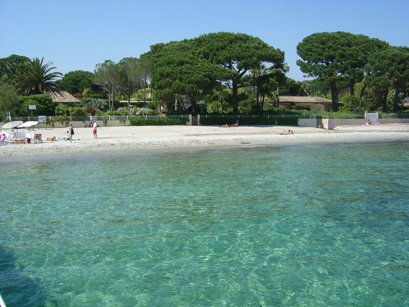 beach with clear water and trees