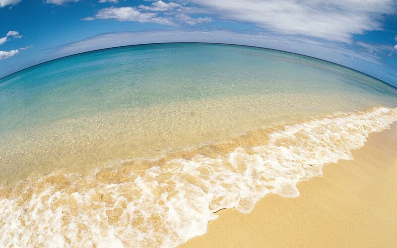 beach with clear water