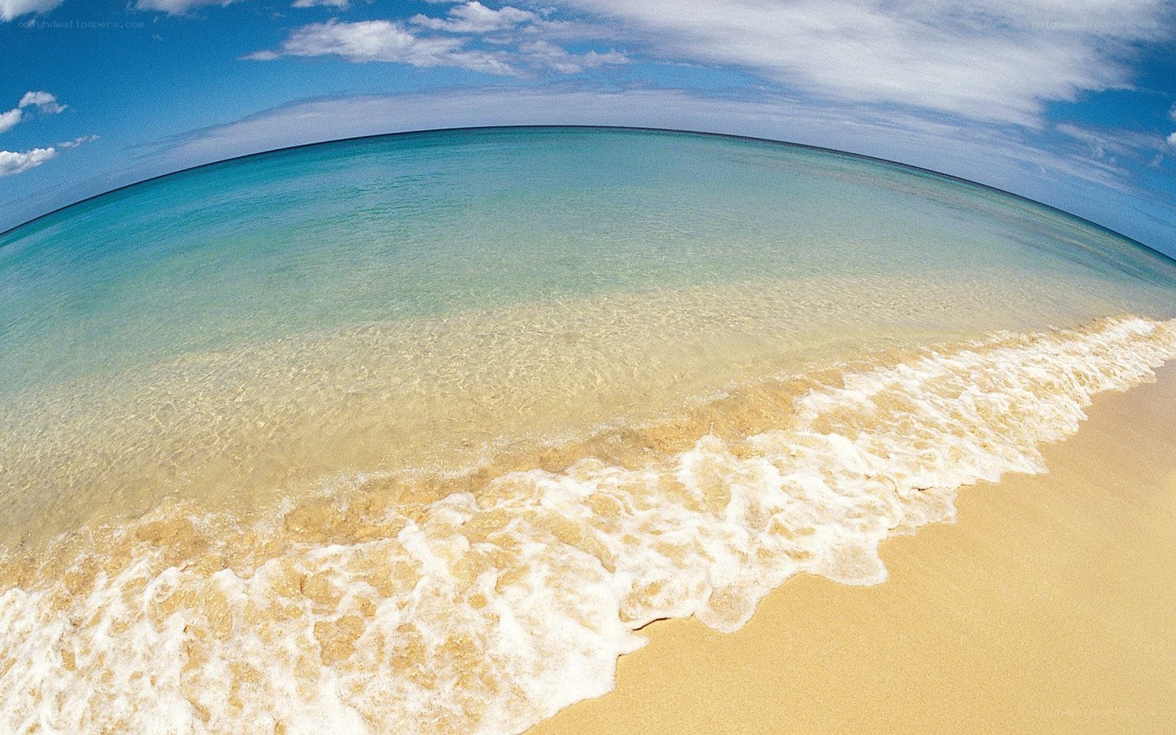 beach with clear water