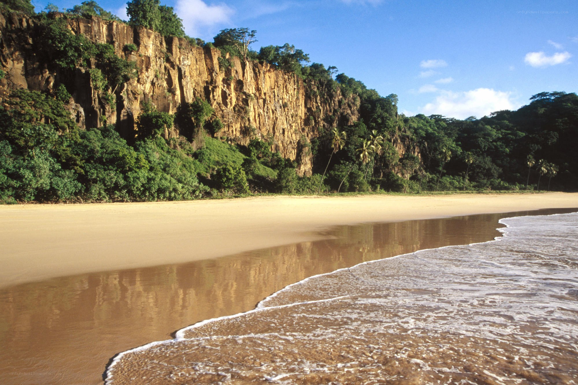 Beach with cliffs and palm trees
