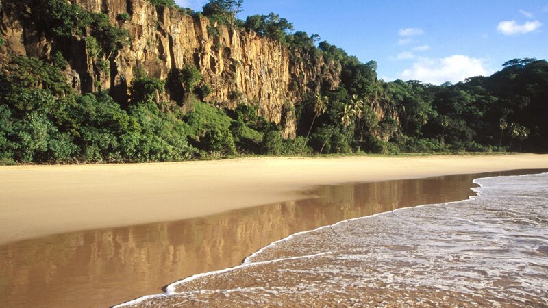 beach with cliffs and palm trees