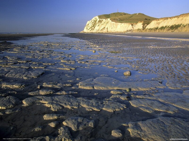 beach with cliffs at low tide
