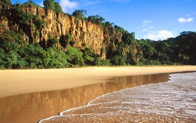 Beach with Cliffs — Brown, Serene, Afternoon, Photograph, Trees