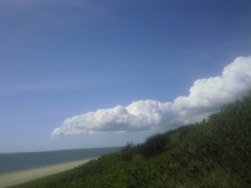 Beach with clouds and greenery