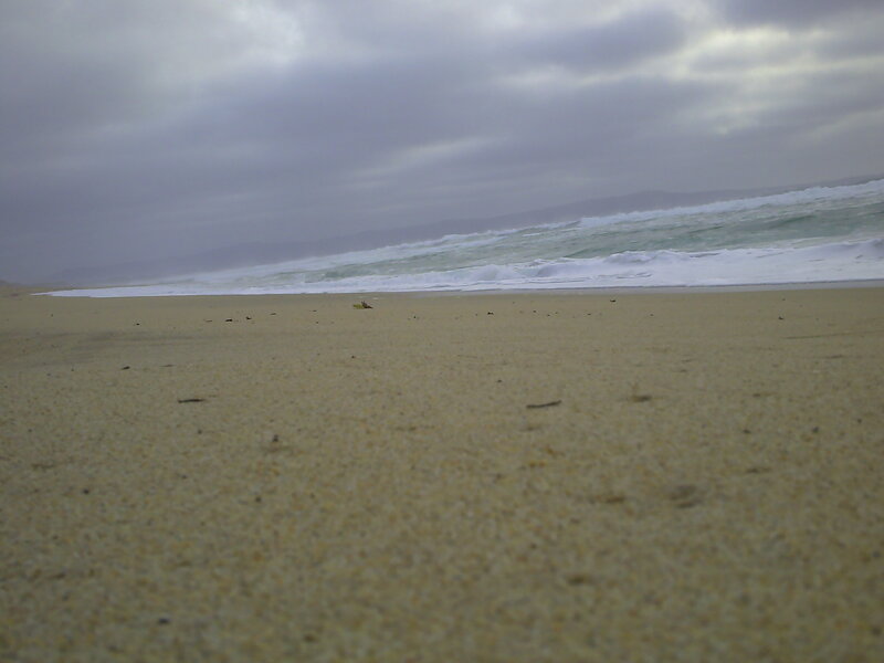 beach with cloudy sky