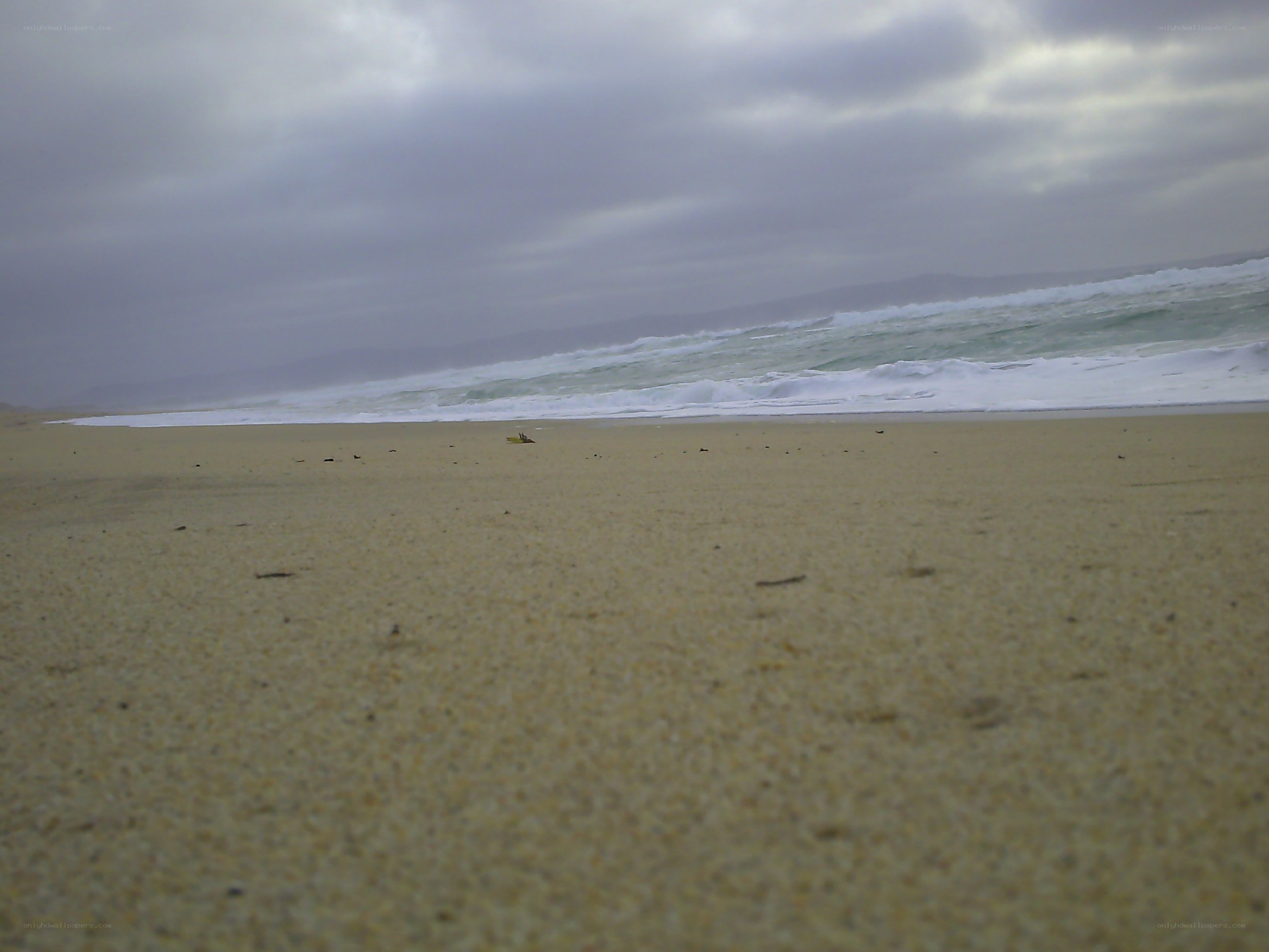 beach with cloudy sky