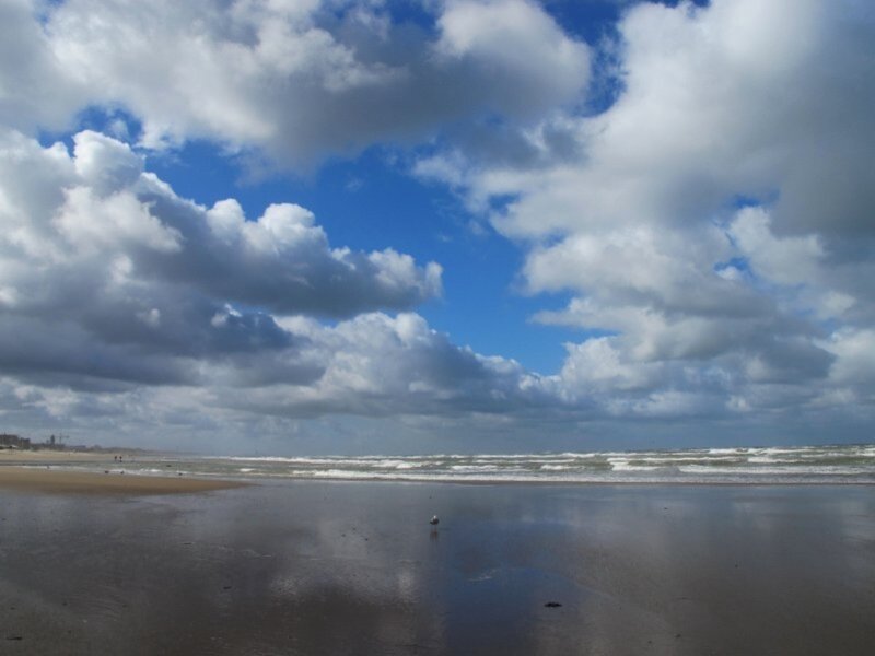 Beach with Cloudy Sky — Blue