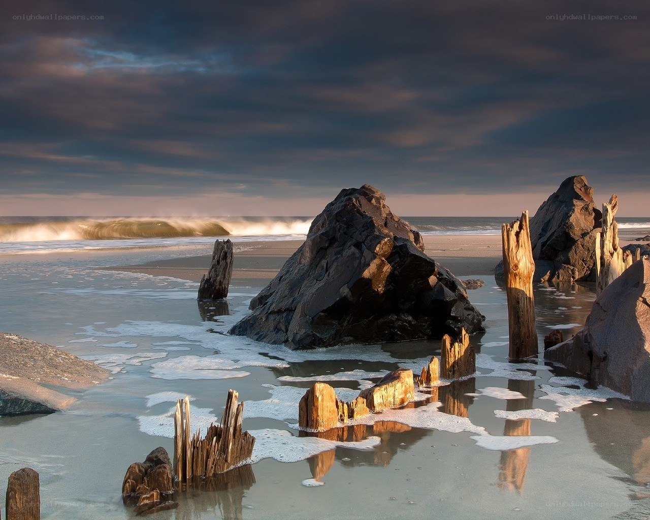 Beach with driftwood and rocks