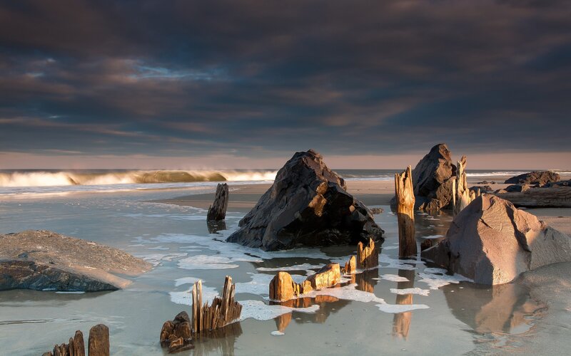 Beach with driftwood and rocks