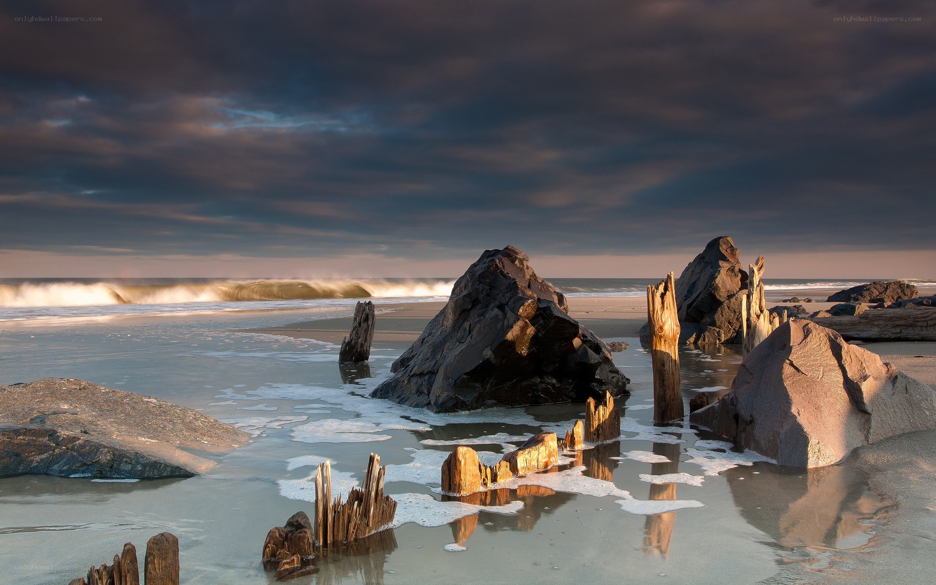 Beach with driftwood and rocks