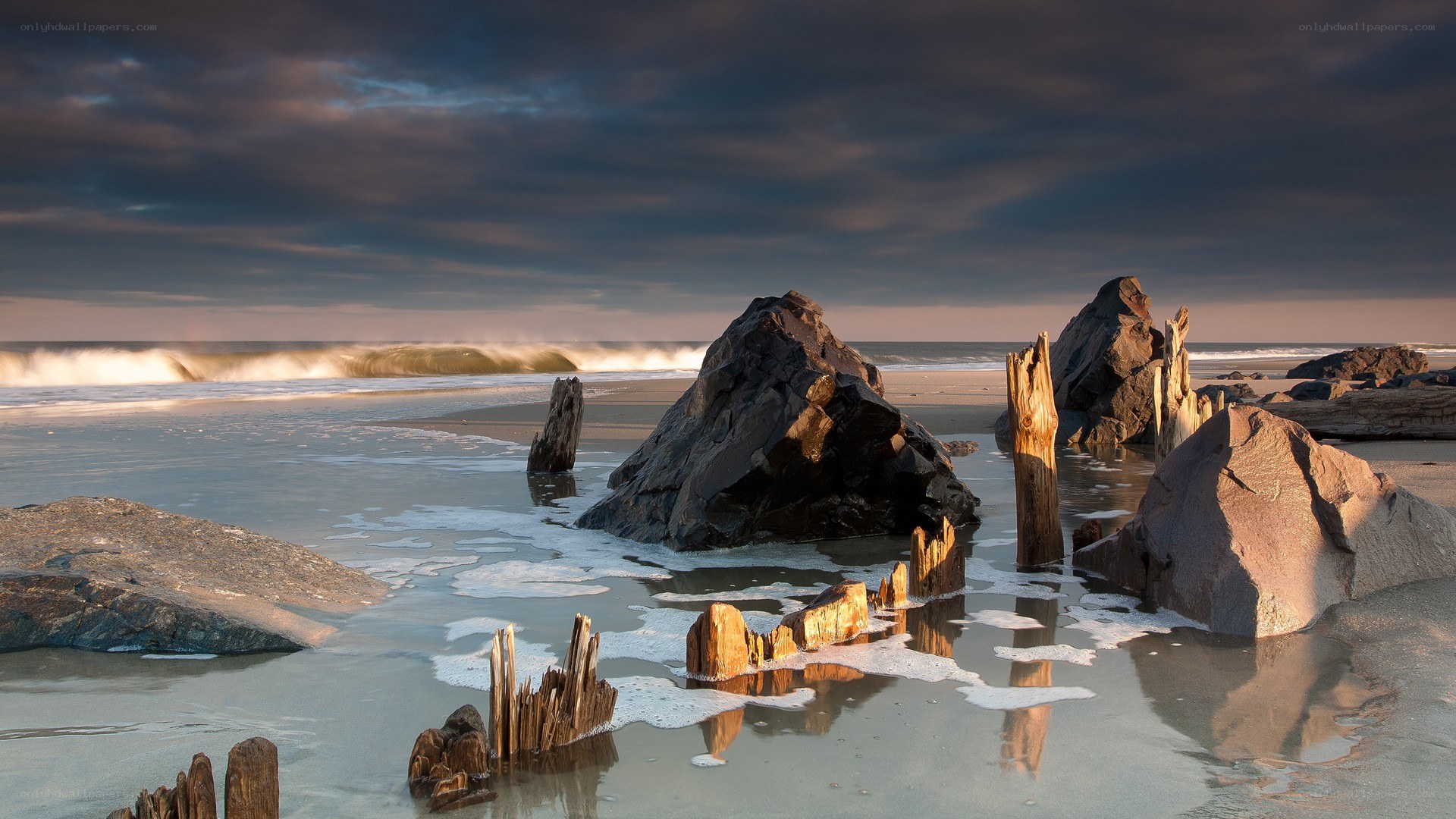 Beach with driftwood and rocks
