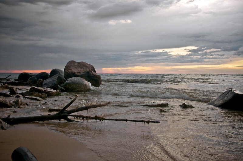 Beach with Driftwood and Rocks — Gray