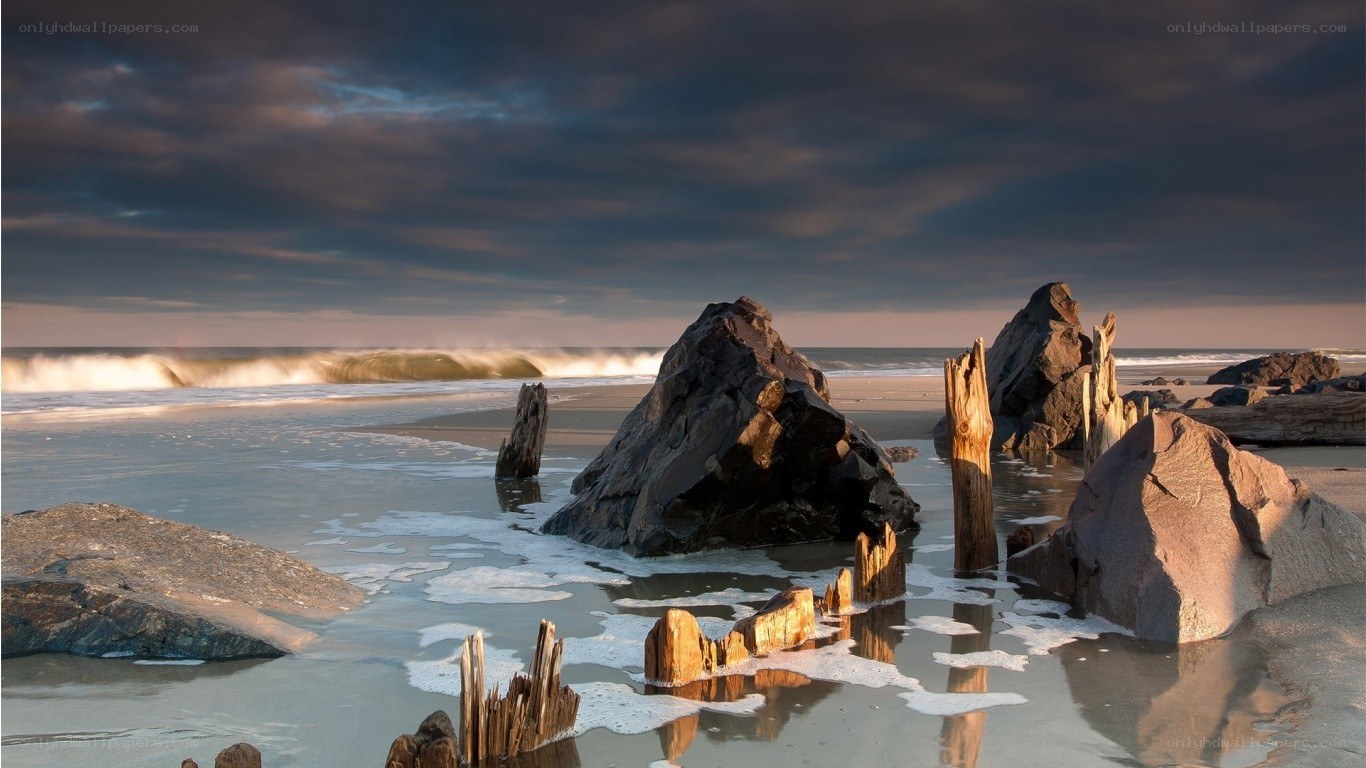 Beach with driftwood and rocks