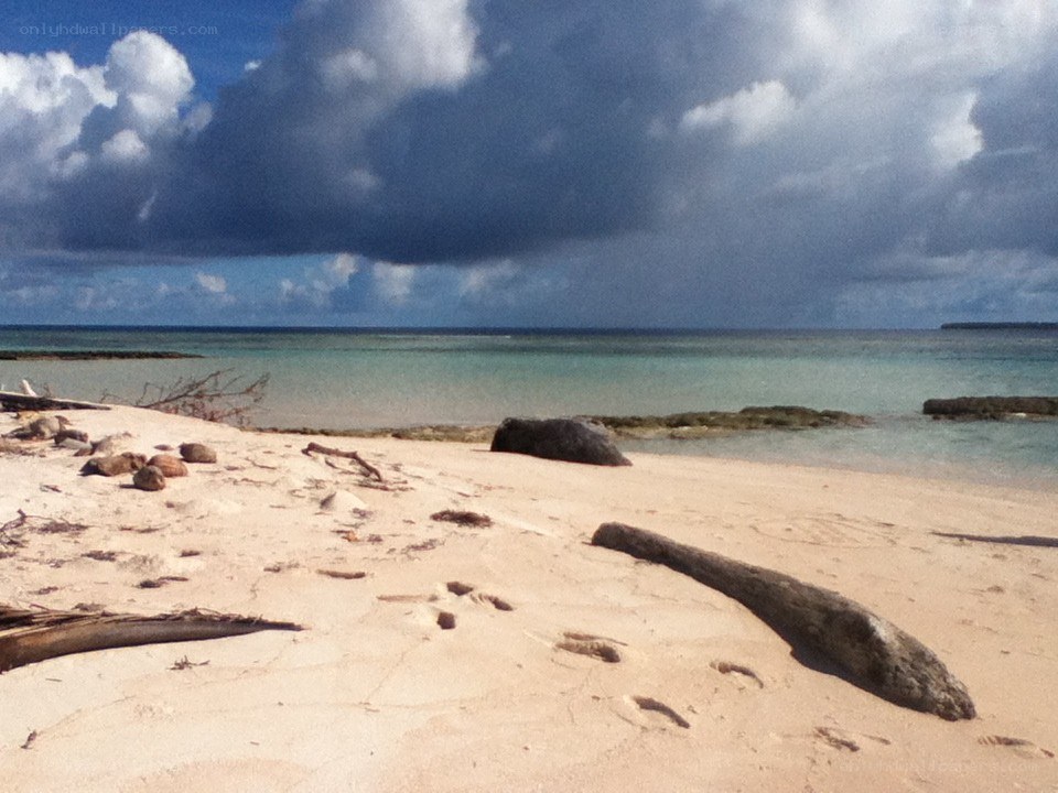 Beach with driftwood and storm clouds