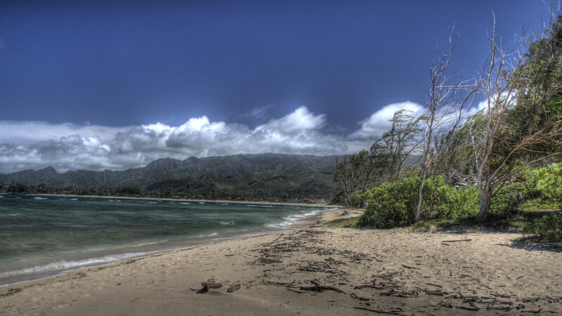 Beach with Driftwood — Blue, Dramatic