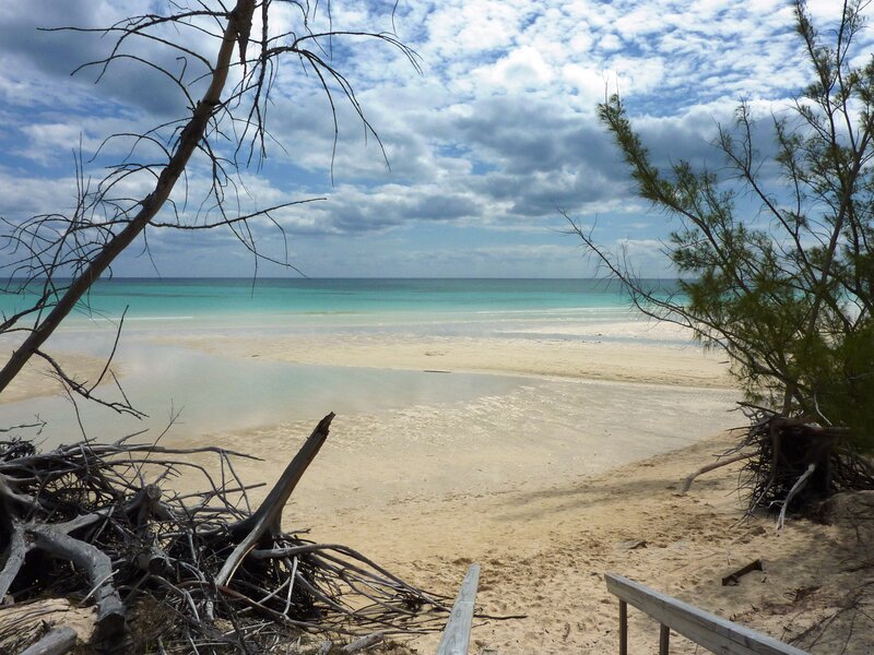 Beach with Driftwood — Blue, Serene, Afternoon