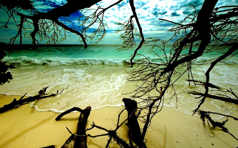 Beach with Driftwood — Blue