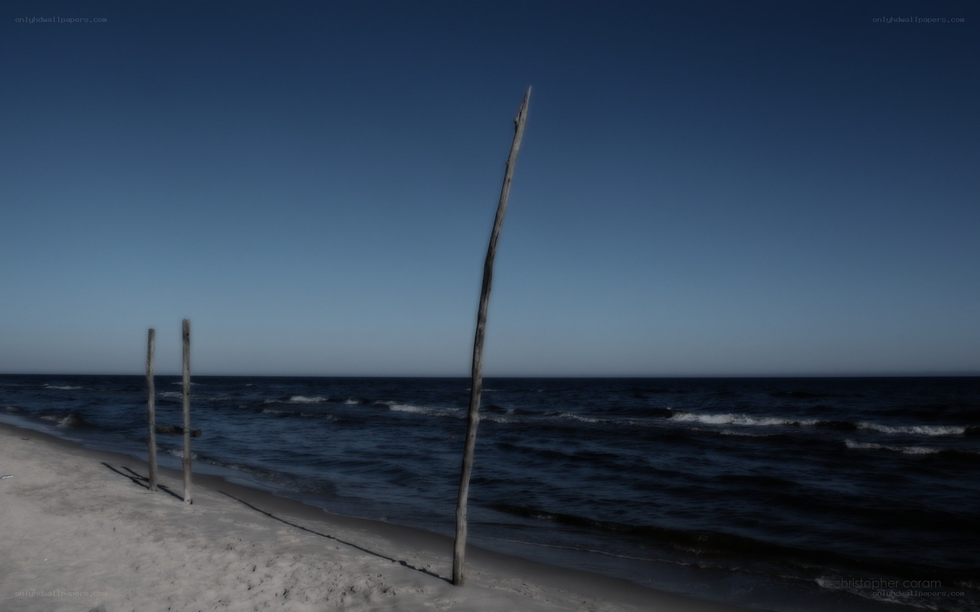 Beach with driftwood poles