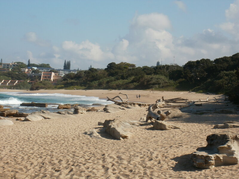 Beach with Driftwood