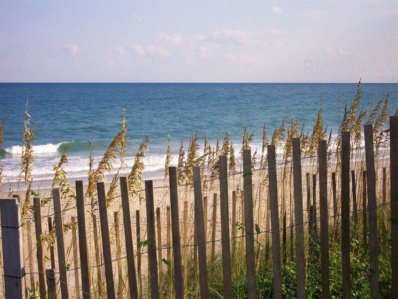 Beach with Dune Fence — Blue
