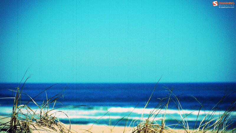 beach with dune grass