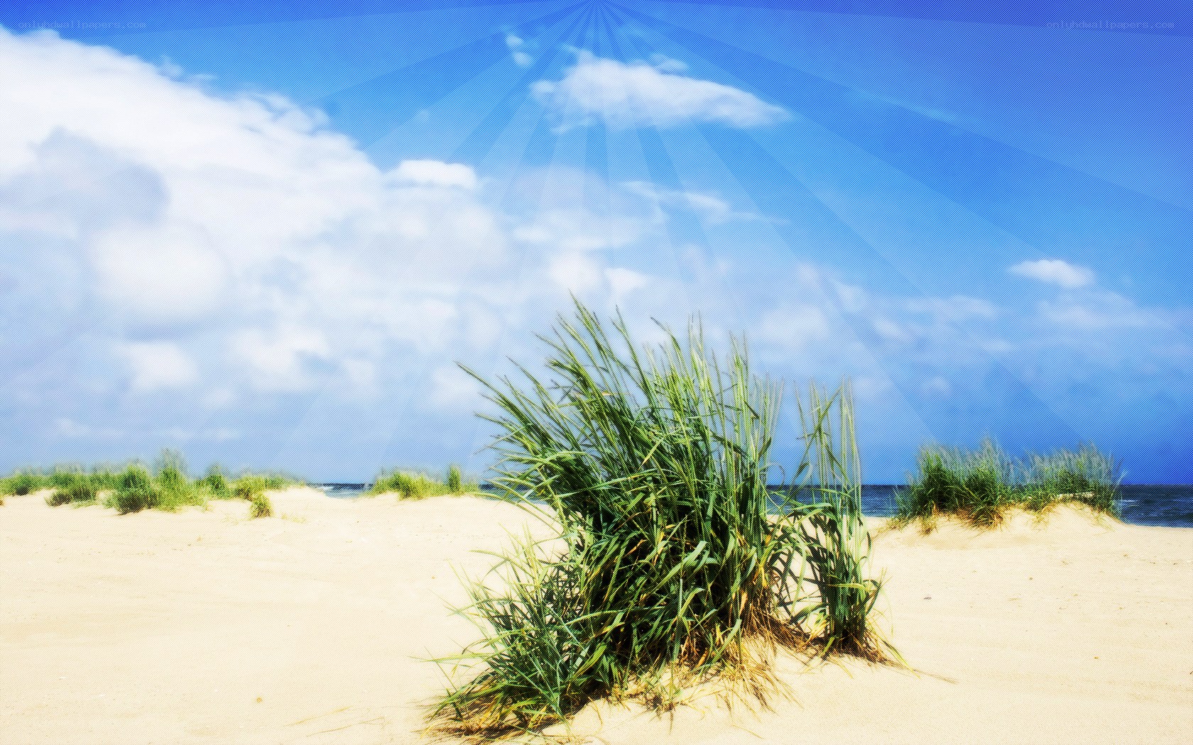 Beach with dune grass