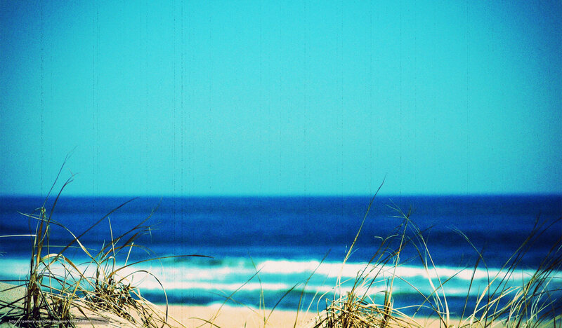 Beach with dune grass