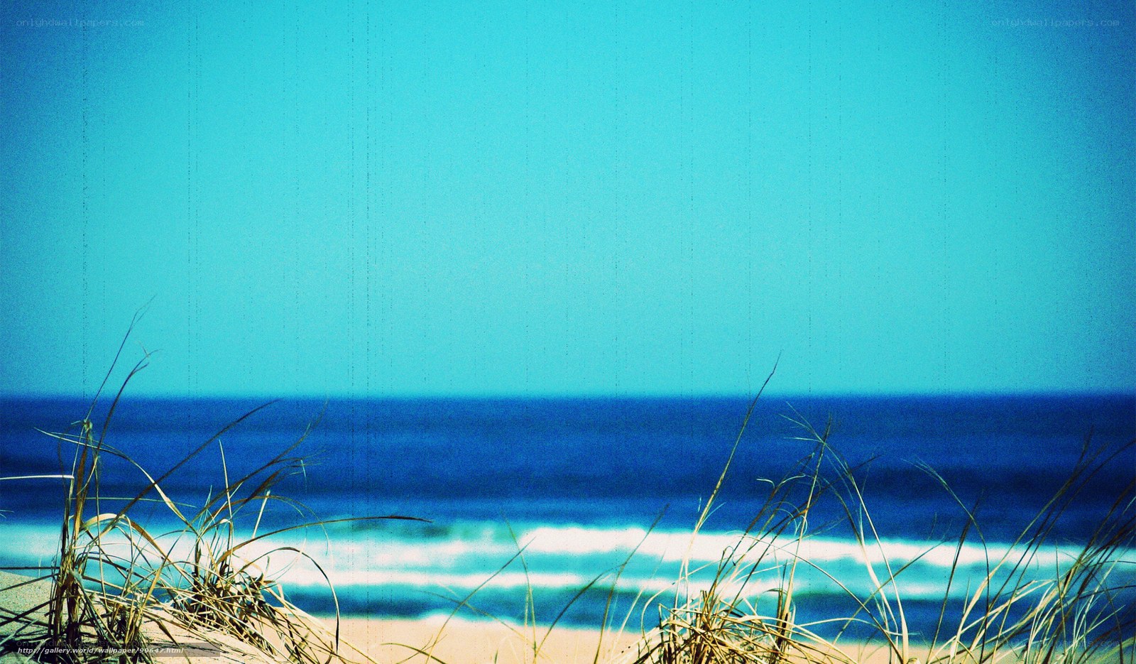 Beach with dune grass