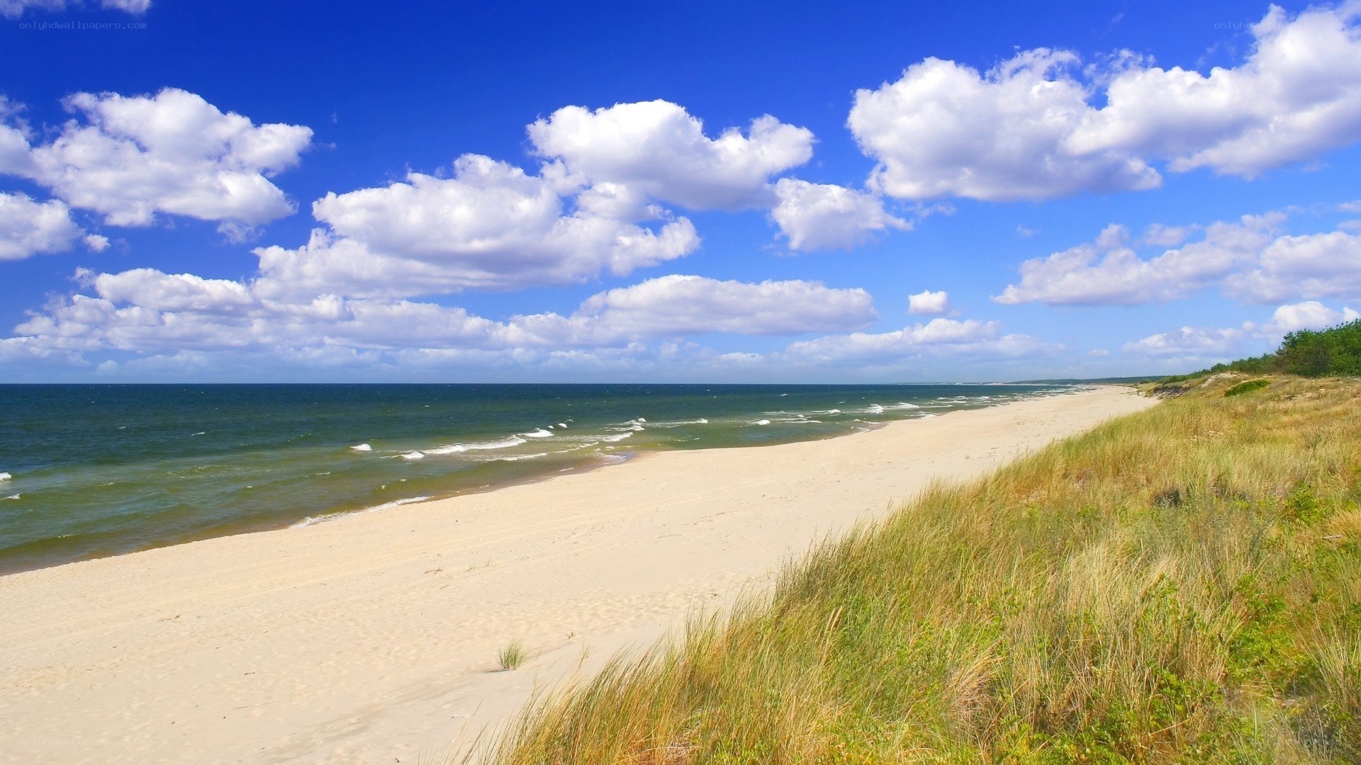 Beach with dunes and blue sky