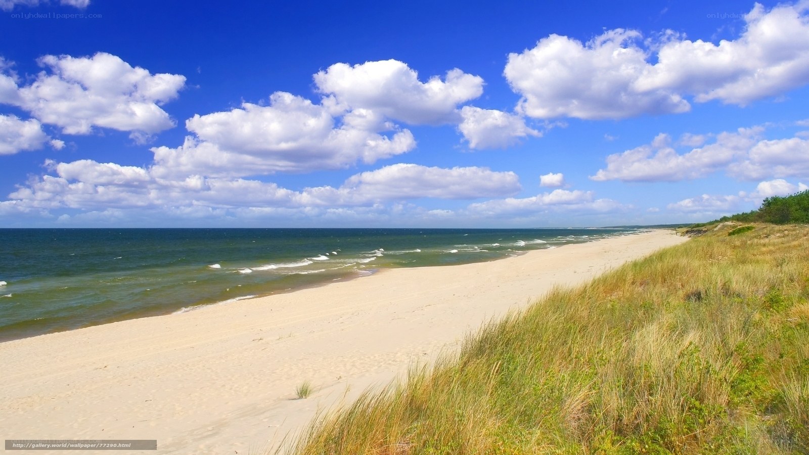 Beach with dunes and blue sky