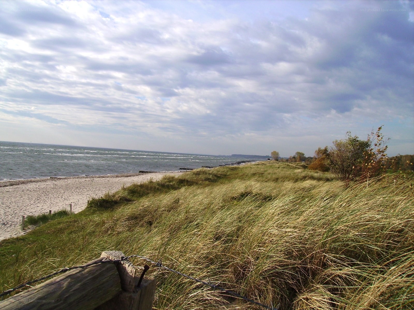 Beach with dunes and cloudy sky