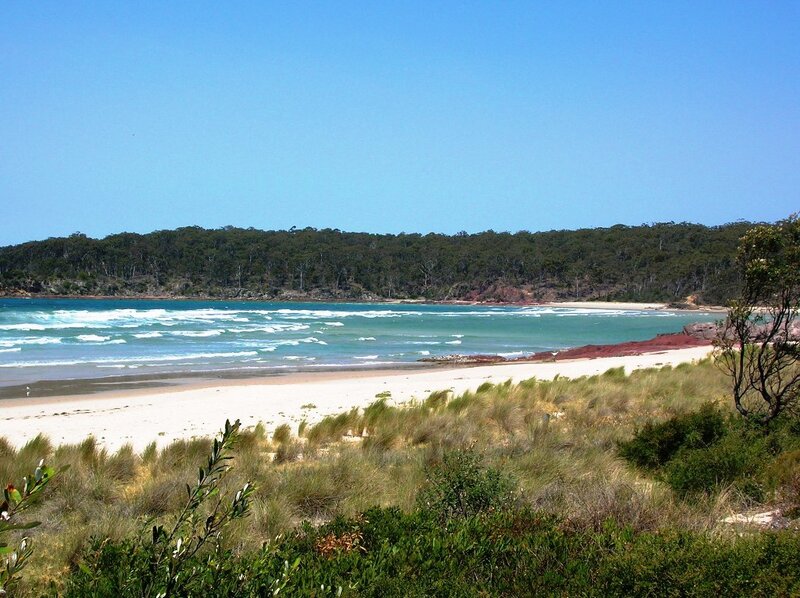beach with dunes and forest