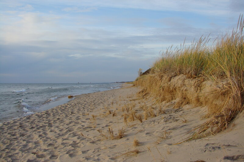 Beach with dunes and grass