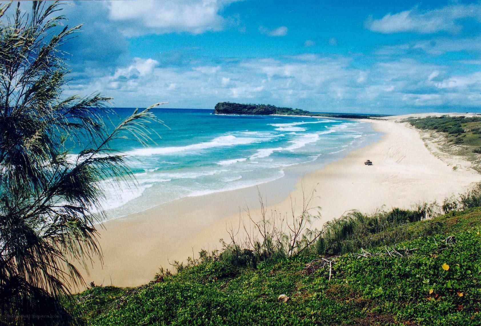 beach with dunes and island