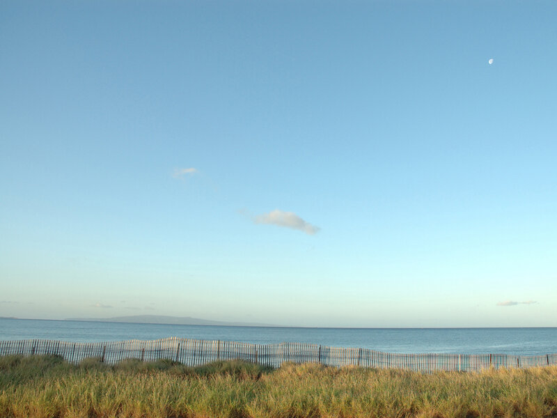 Beach with dunes and moon
