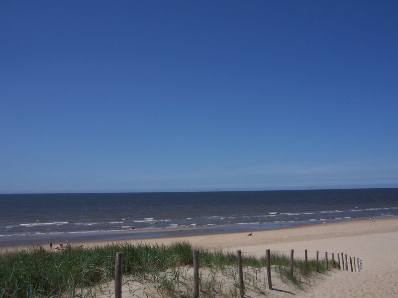 Beach with dunes and ocean