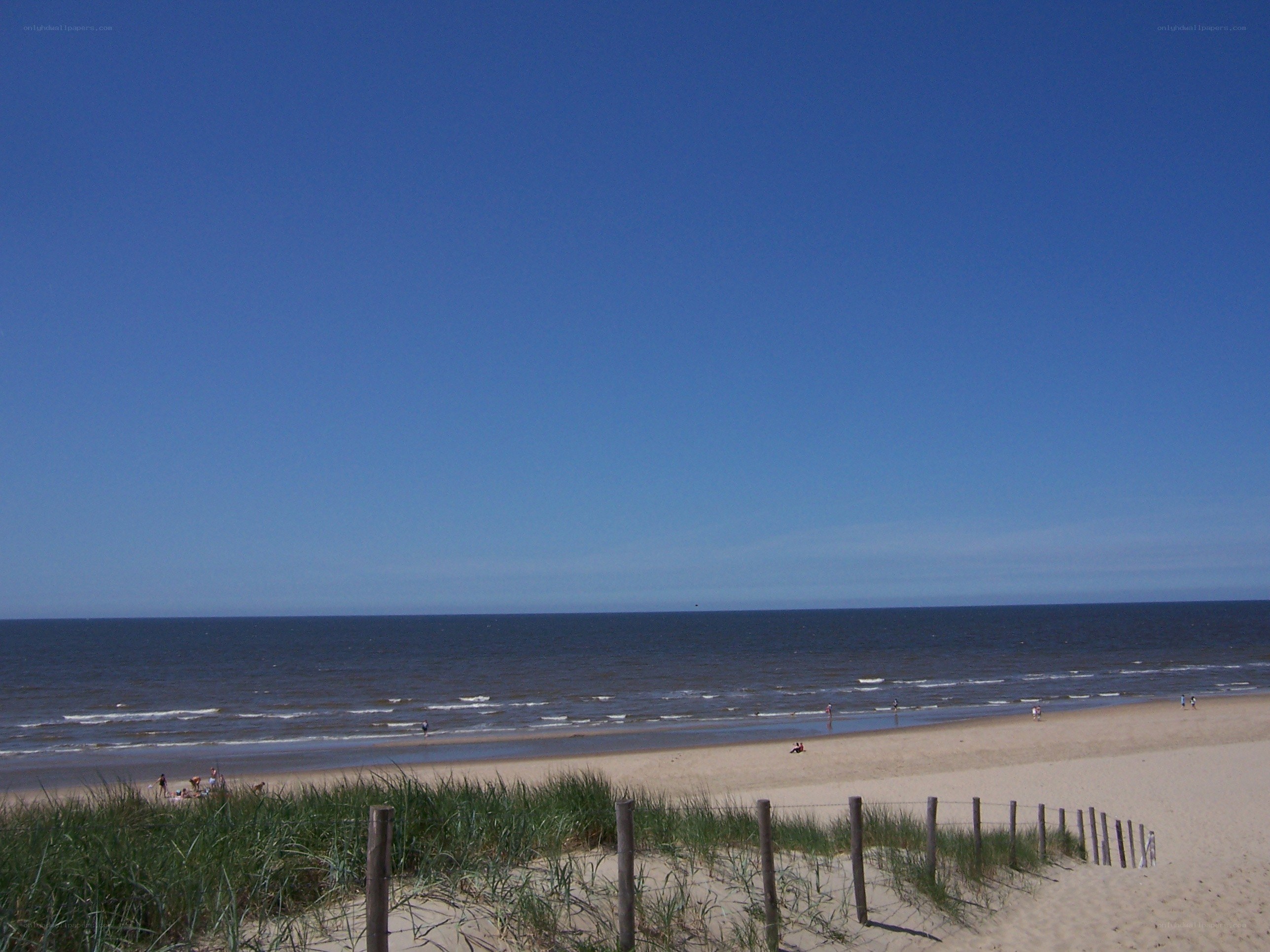 Beach with dunes and ocean