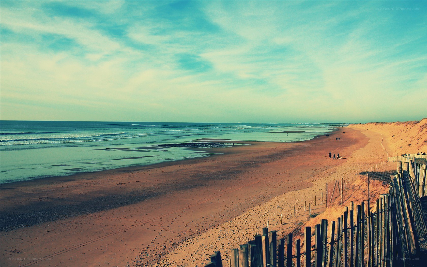 beach with dunes and ocean