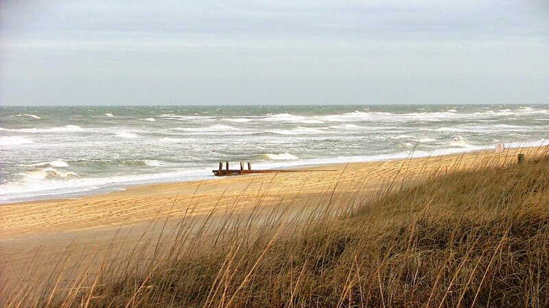 Beach with Dunes and Ocean — Brown