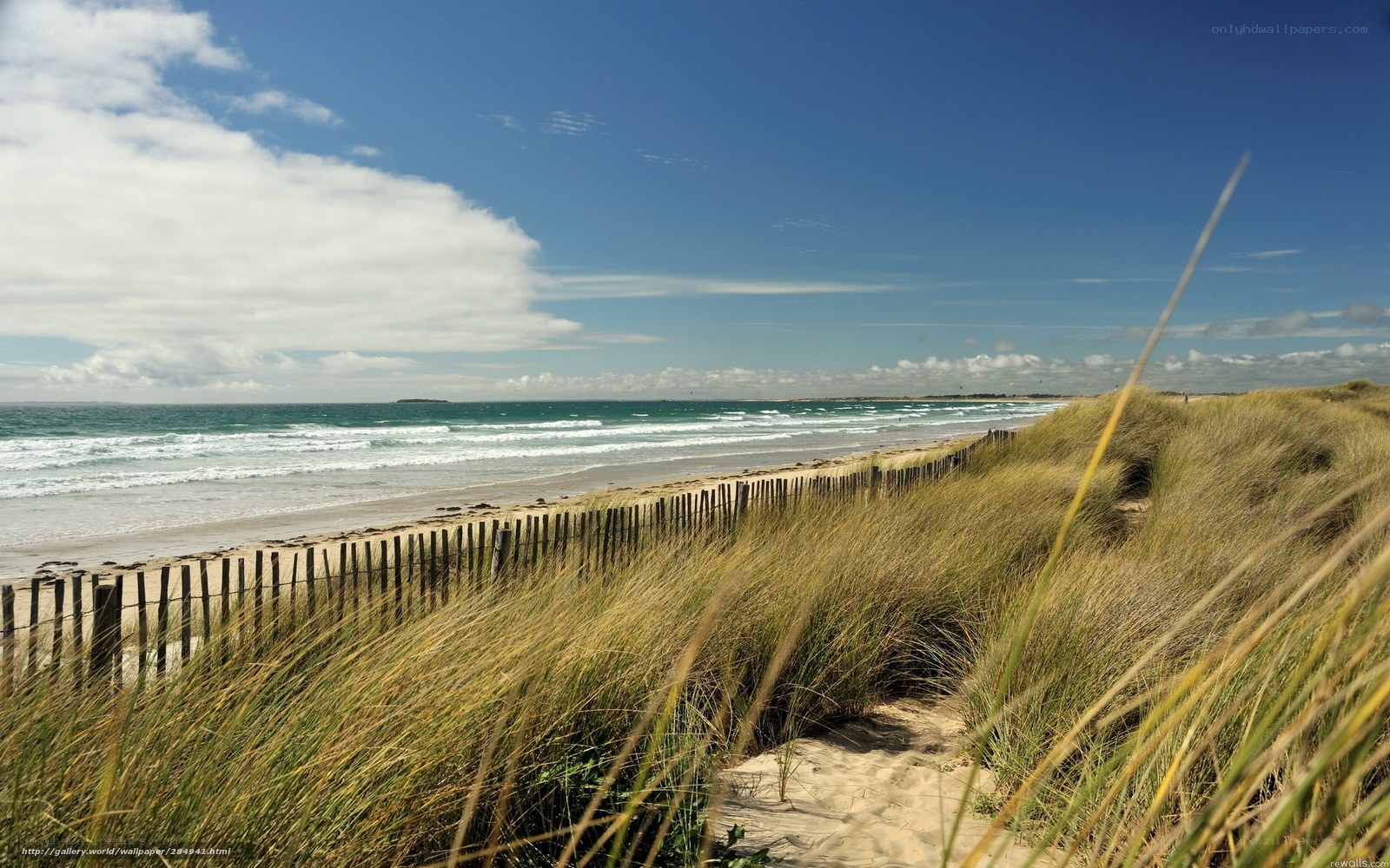 Beach with dunes and ocean view