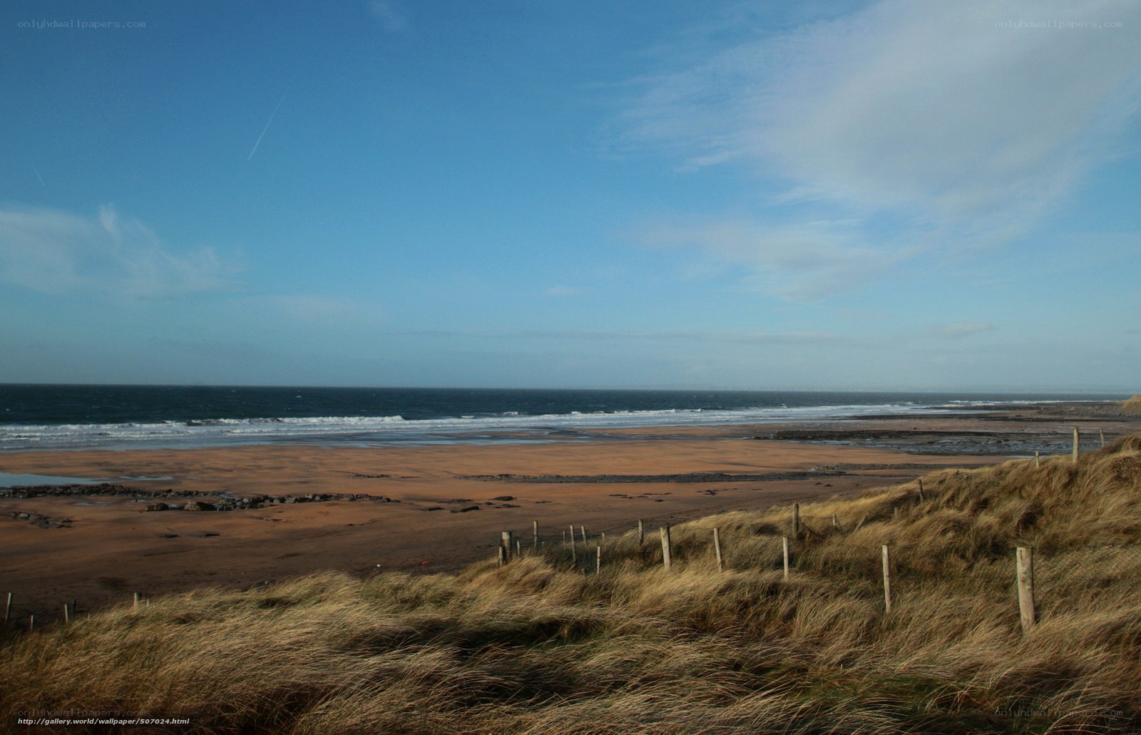 beach with dunes and ocean