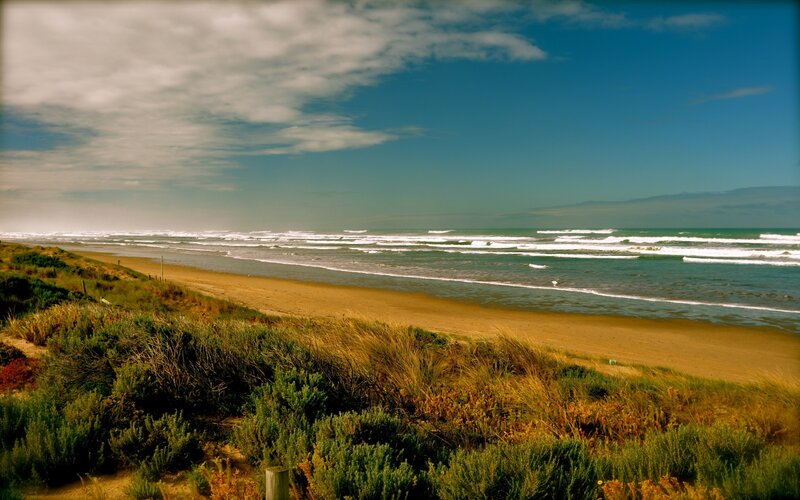 beach with dunes and waves