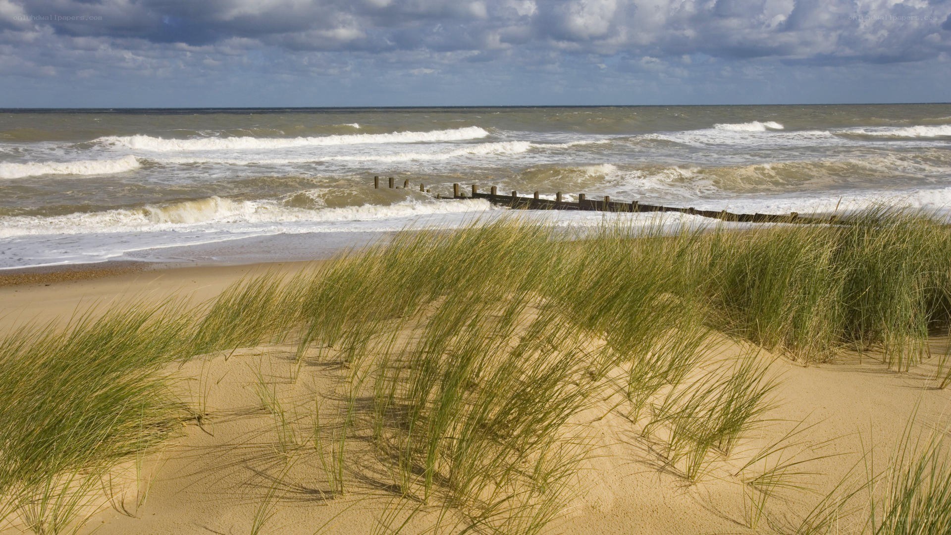 Beach with dunes and waves