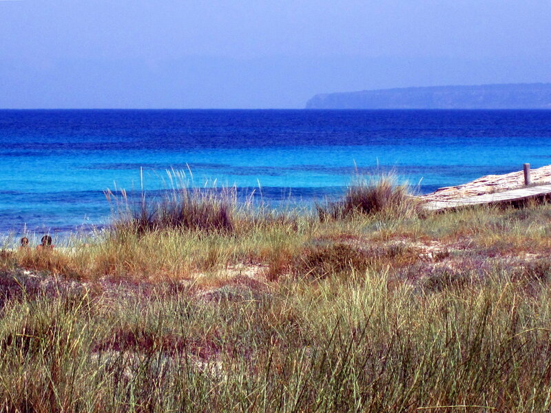 Beach with Dunes — Blue, Serene, Afternoon, Photograph