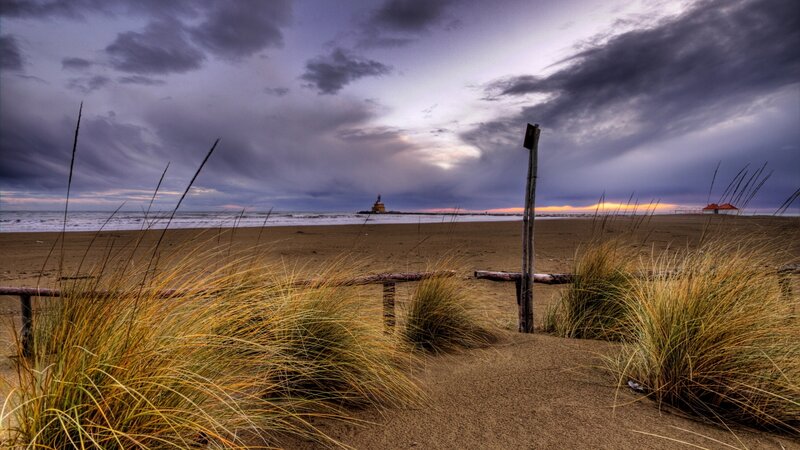 Beach with Dunes — Brown