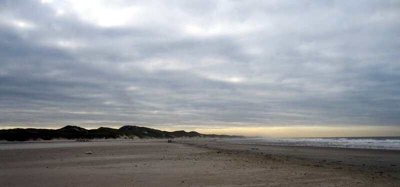Beach with Dunes — Gray