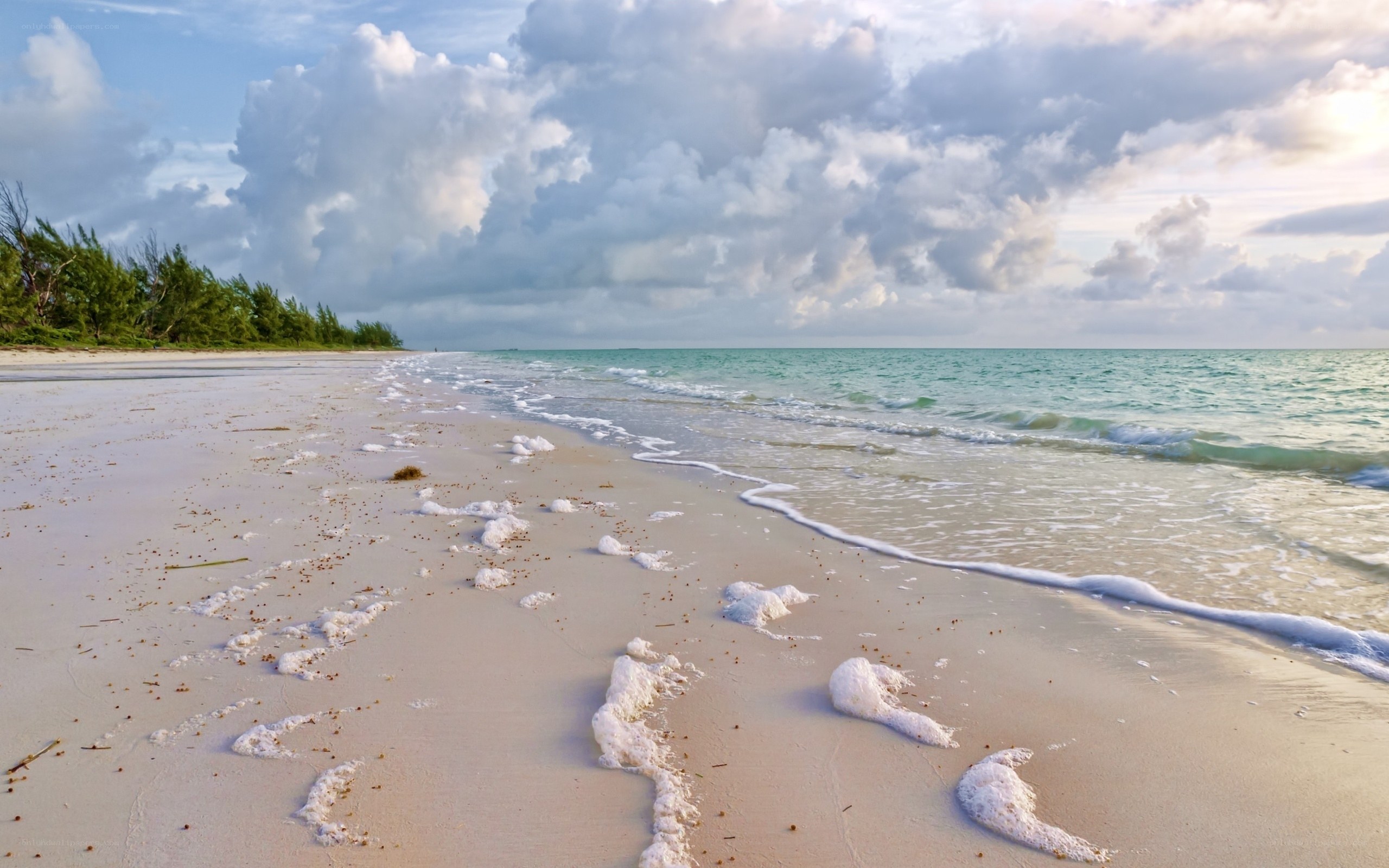 beach with foamy waves