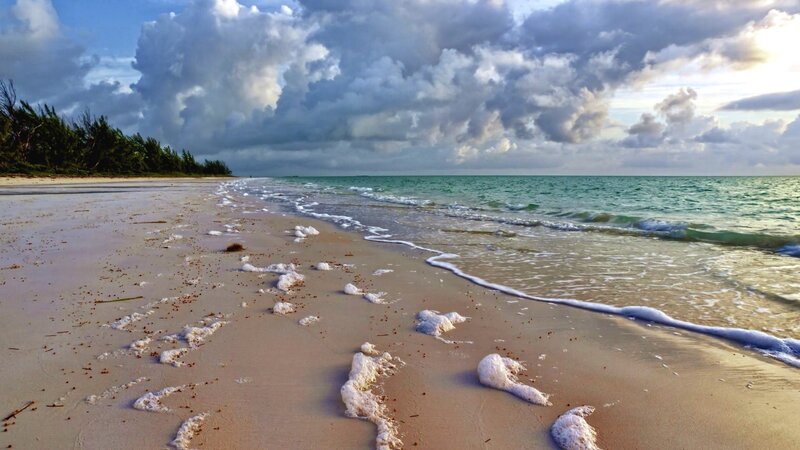 Beach with Foamy Waves — Blue