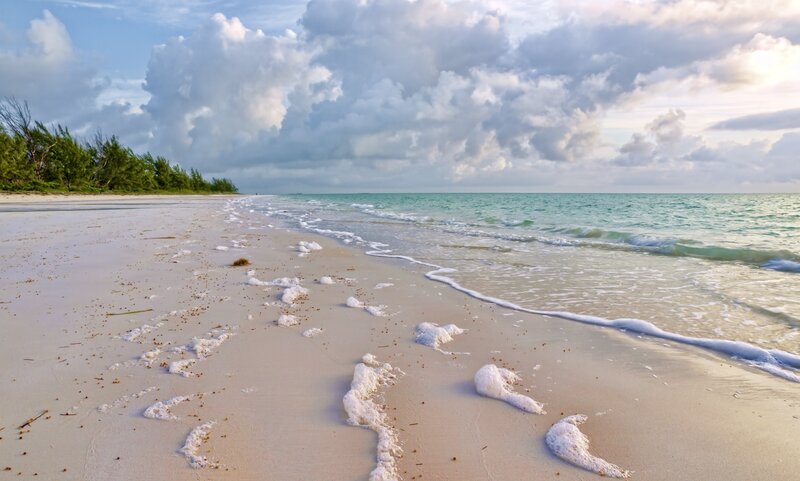 Beach with foamy waves